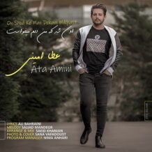 دانلود آهنگ جدید عطا امینی به نام اون شد که من دلم میخواست